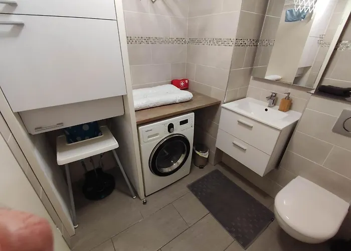 Duplex Autonome Cosy A Paris Cdg Appartement
