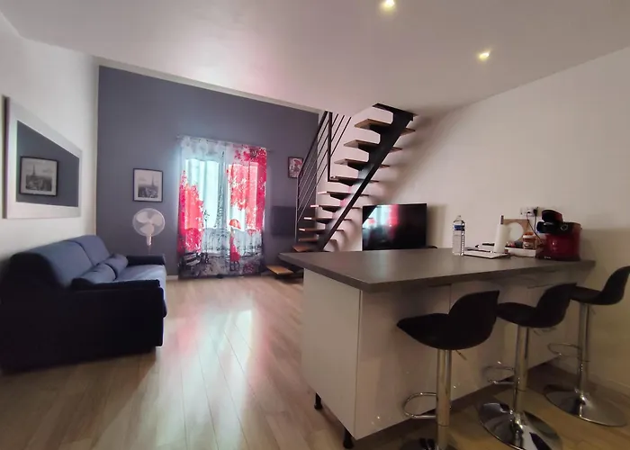 Duplex Autonome Cosy A Paris Cdg Appartement